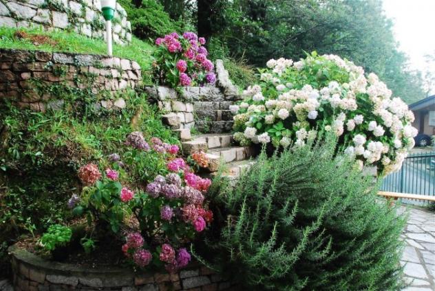 Miazzina - ZONA SASSO DI PALA VENDESI VILLA CON GIARDINO PRIVATO - Foto 6