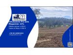 Immobile in asta di 4270 m² in vendita a Altomonte