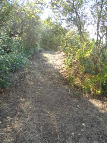 Perdifumo, Terreno Di 18.000 Mq Vista Mare Con Un Rudere - Foto 10