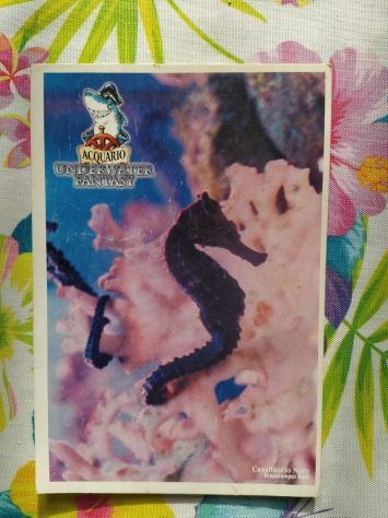 B57 - RARA CARTOLINA CON FRANCOBOLLO - Foto 2