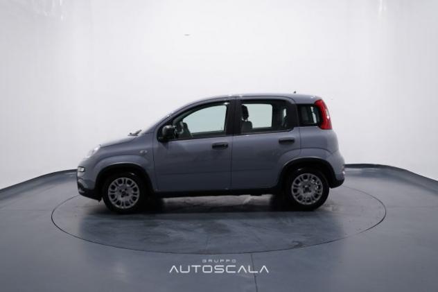 FIAT New Panda 1.0 FireFly S&S Hybrid rif. 23780418 - Foto 3