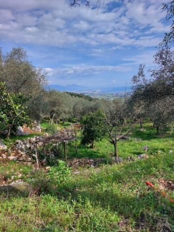 Rustico in vendita a Ameglia - Foto 6