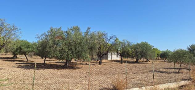 Terreno in vendita a Noto - Foto 7
