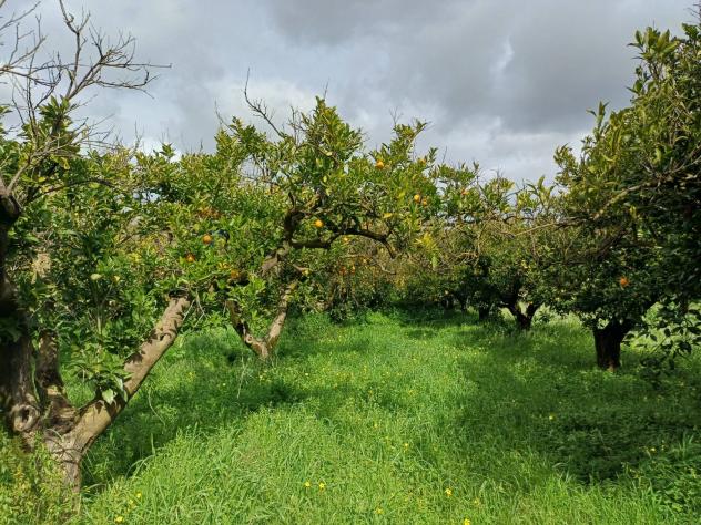 Villa singola in vendita a Chiaramonte Gulfi - Foto 14