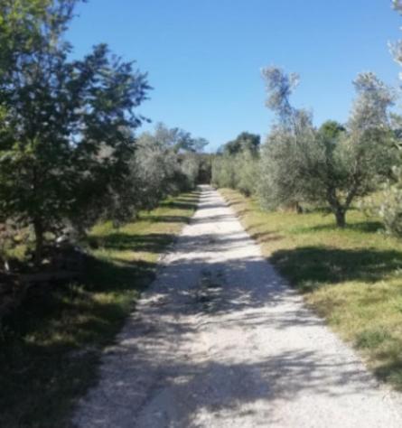 Immobile in asta di 48 m², box auto in vendita a Montecosaro - Foto 4