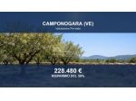 Immobile in asta di 68985 m² in vendita a Camponogara