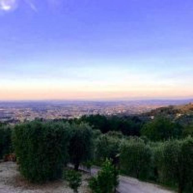 Societa' Agricola Le Ferrette di Marcantelli Stefano e Giovanni - Foto 2