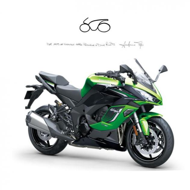 KAWASAKI Ninja 1100SX SE . rif. 22932490