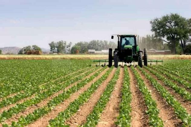 terr agr capa 72 - Terreno Agricolo a Capannori - Capannori centro