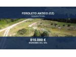 Immobile in asta di 79900 m² in vendita a Feroleto Antico