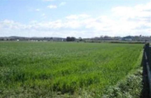 Immobile in asta di 6039 m² in vendita a Mondolfo - Foto 4