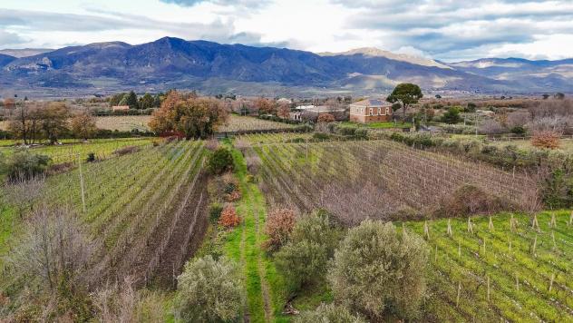 Terreno Edificabile in vendita a Randazzo, Montelaguardia