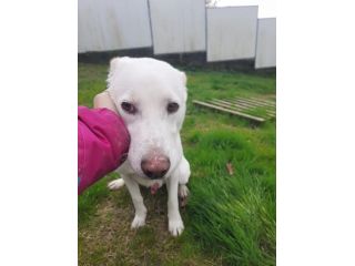 Casper