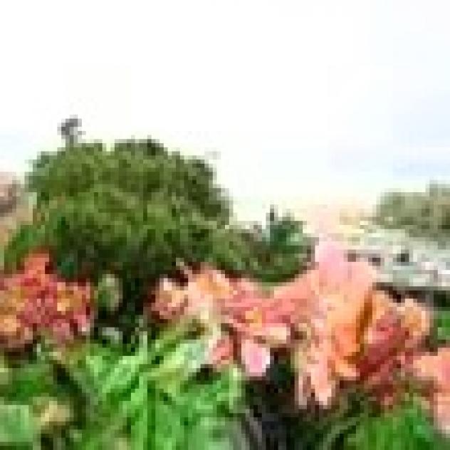 Hotel La Palazzina di Lucrezia Spaccasassi - Foto 4