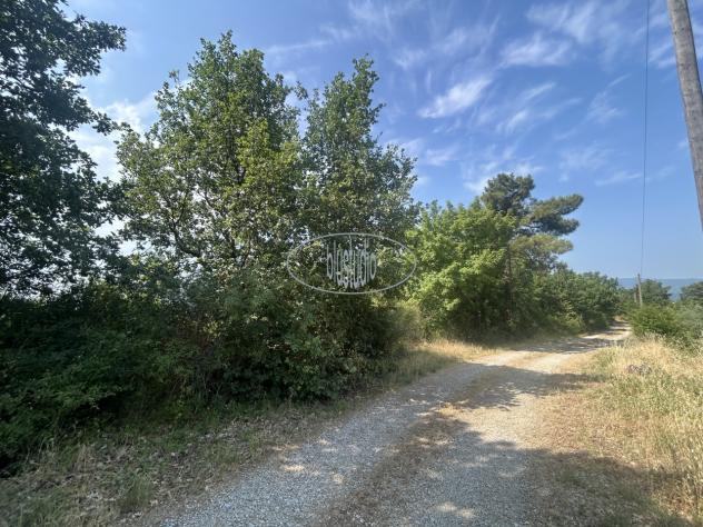 TERRENO AGRICOLO di 1 vani e di 22364 mq (CASTELFRANCO PIANDISCO' - certignano) rif. V-2360 - Foto 9