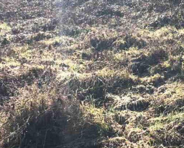 Immobile in asta di 2 m² in vendita a Gazzola - Foto 3