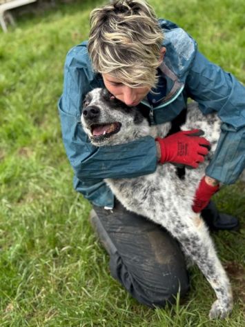 ESCAPE cacciatore di abbracci, CANE IN ADOZIONE