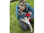 ESCAPE cacciatore di abbracci, CANE IN ADOZIONE