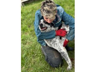 ESCAPE cacciatore di abbracci, CANE IN ADOZIONE