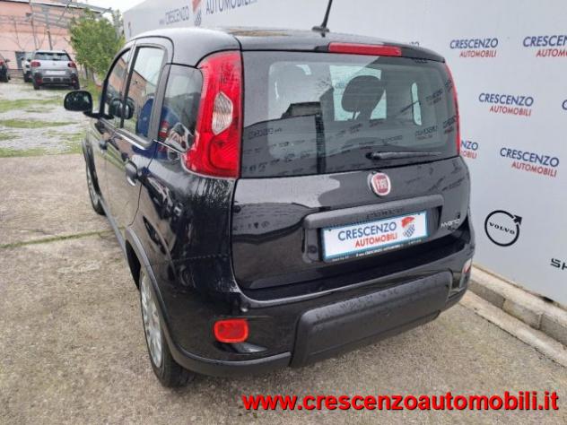 FIAT Panda 1.0 FireFly S&S Hybrid Pandina - AZIENDALE rif. 23794277 - Foto 8