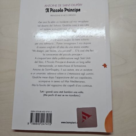 IL PICCOLO PRINCIPE - Foto 2