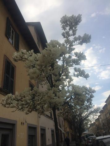 Locale commerciale in affitto a Lucca - Foto 7