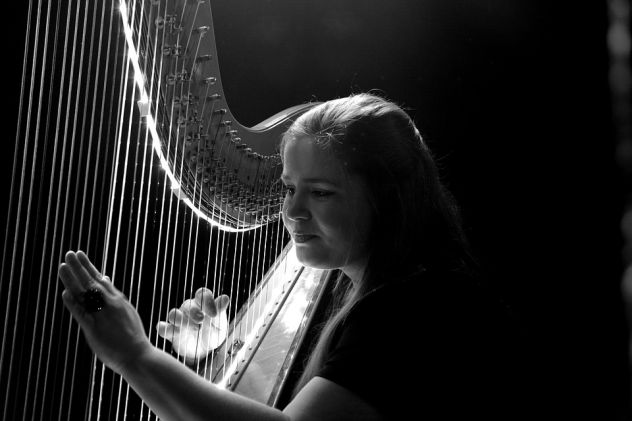 Violinista e arpista a Lodi