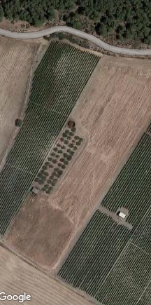 Sicilia Vendita terreno a Menfi - Foto 7