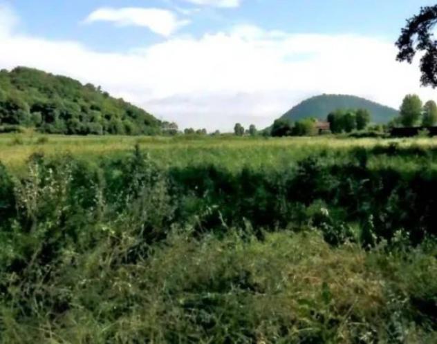 Immobile in asta di 18225 m² in vendita a Teolo - Foto 6