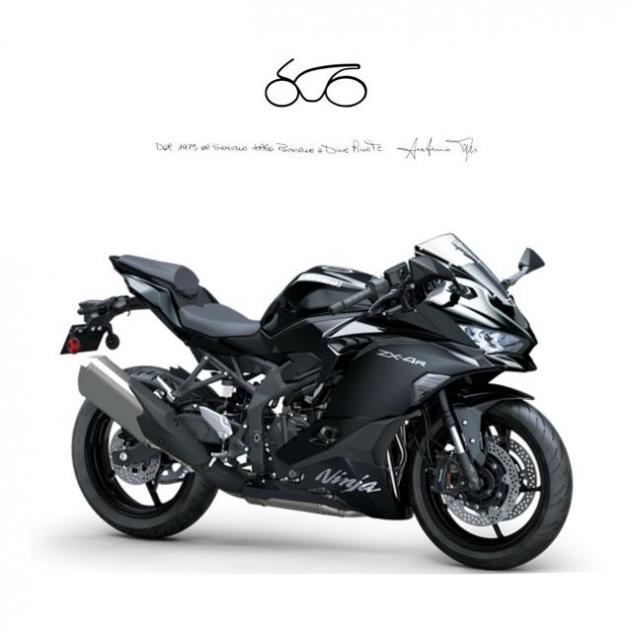 KAWASAKI Ninja ZX-4R . rif. 21429993