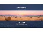 Immobile in asta di 23724 m² in vendita a Carpi