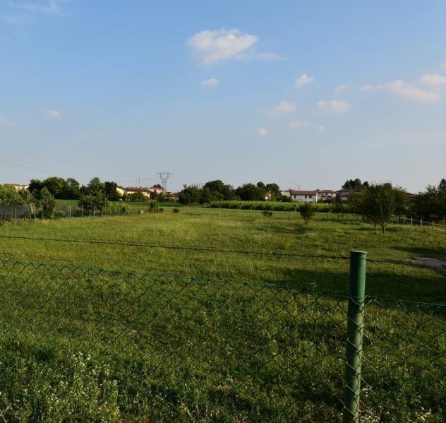 AREA EDIFICABILE di 1500 mq (SUSEGANA) rif. RG8A_7 - Foto 5