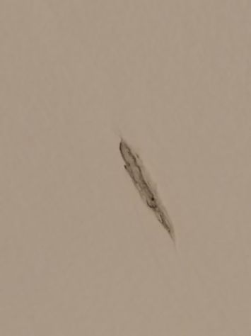 Lavori di cartoggessi pittura e piastrellatura - Foto 2