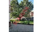 Immobile in asta di 33 m² in vendita a Vigliano Biellese