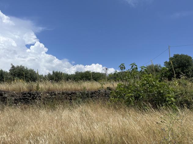 Agricolo in vendita a Belpasso - Foto 3