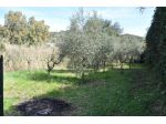 Agricolo in vendita a Livorno