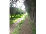 Agricolo in vendita a Monastir