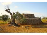 Terreno con trullo