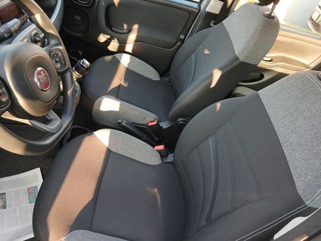 FIAT PANDA HYBRID 1.0 FireFly 70 CV S&S CITY LIFE - Foto 8