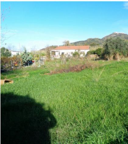 Immobile in asta di 151 m² in vendita a Guiglia - Foto 5