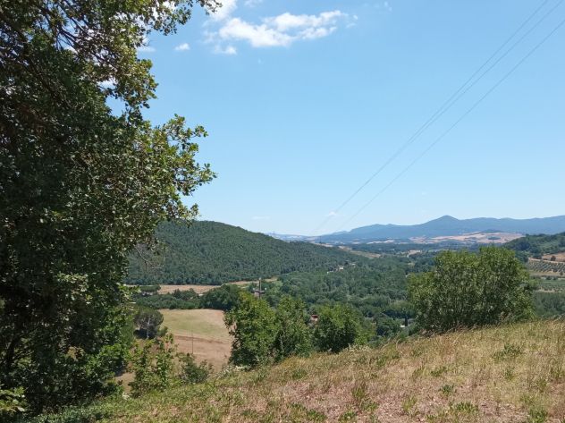 Riparbella: piccolo nido in giardino di ulivi, 15 minuti dal mare - Foto 10