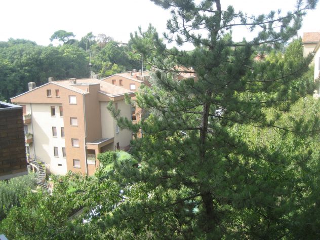 ELCE - AMPIA CAMERA SINGOLA - Foto 7