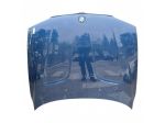 COFANO ANTERIORE BMW X3 1° Serie 41003449411 204D4 (0410)