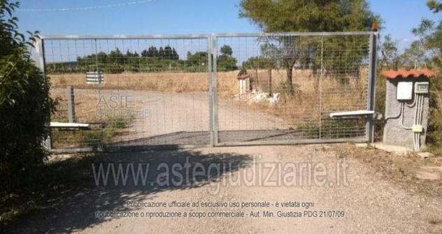 IMMOBILI-IMMOBILE COMMERCIALE-Località Gutturu Sa Serra