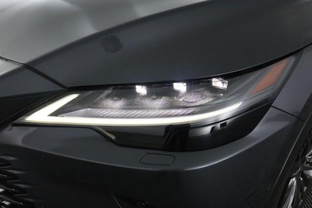 LEXUS RX 450h RX Plug-in Hybrid Luxury rif. 23952100 - Foto 9