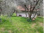 Box in vendita a Calci 38 mq  Rif: 867093