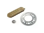 Kit trasmissione Rk Regina per YamahaYzf R125 R3 catena corona pignone