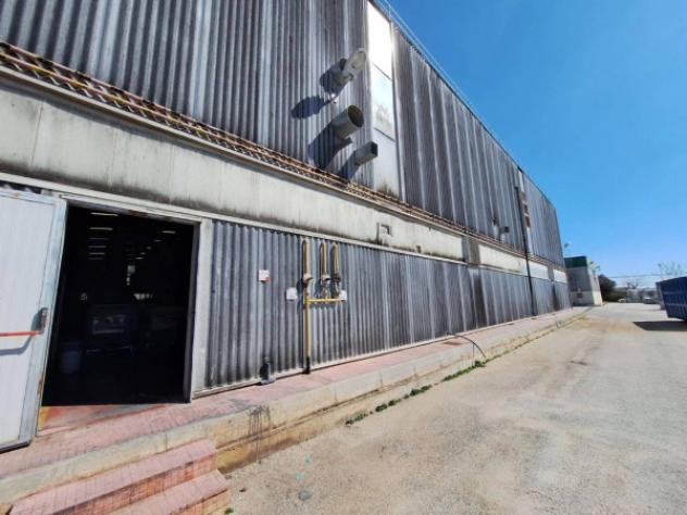 Immobile in asta di 7775 m² in vendita a Marsala - Foto 7