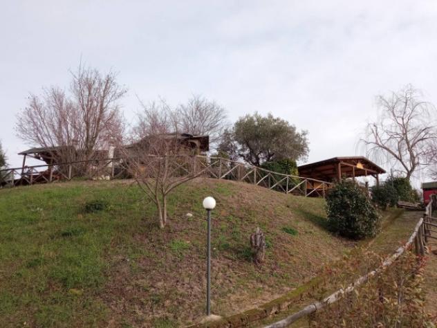 Immobile in asta in vendita a Torricella Sicura - Foto 4