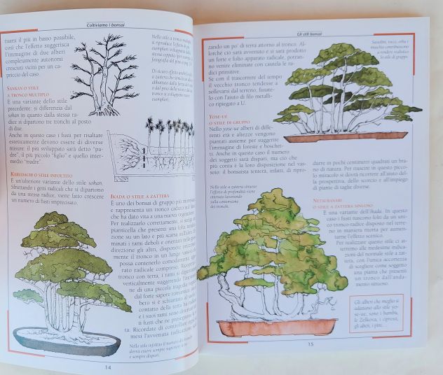 Coltiviamo i Bonsai.Gli stili,Legatura, potatura.Vasi rinvasi 1°Ed.Demetra,1998 - Foto 5